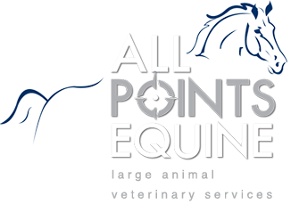 All Point Equine